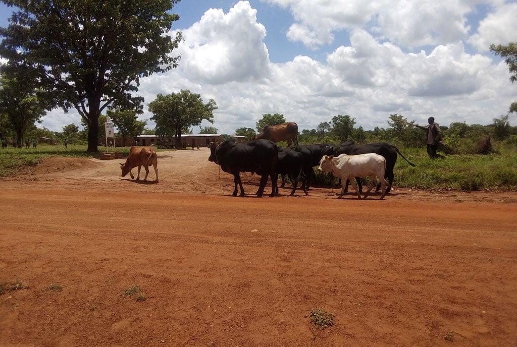 Ugandan residence of Otuke flee homes over raids by suspected armed ...
